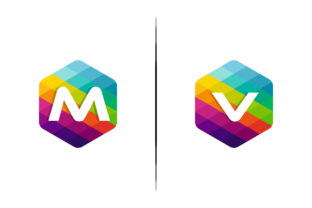 Download Mv Hexagon Mosaic Logo - Logo Collection